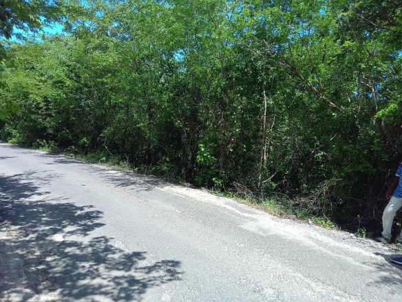 First image of Old Hope Road in OLD HOPE PEN, Westmoreland, Jamaica - property is For Sale