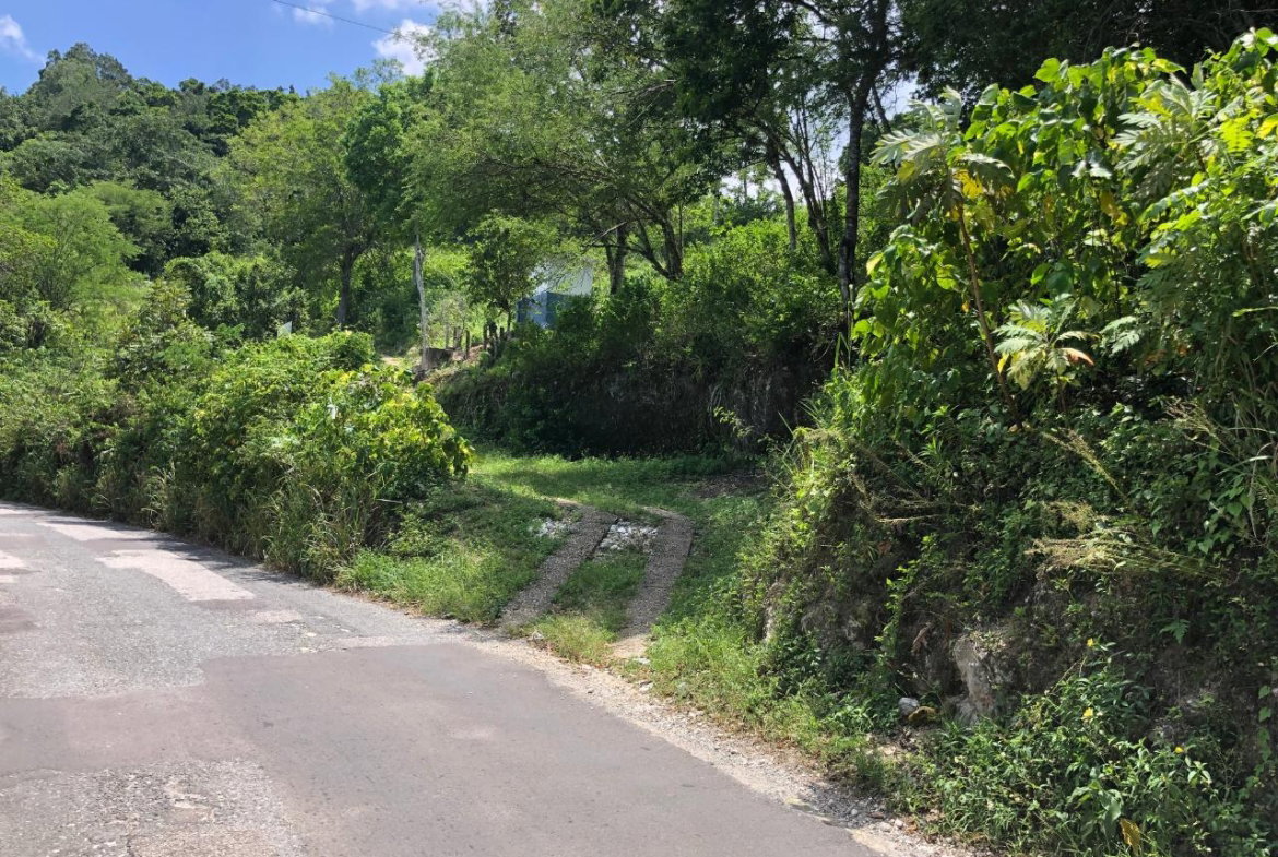 Eleventh image of Tavern Hill, Stewart Town in Stewart Town, Trelawny, Jamaica - property is For Sale