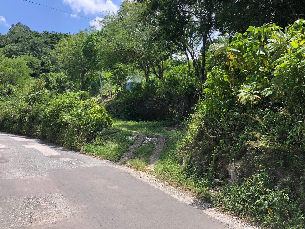 Prime-45.232-Acres-for-Sale-in-Stewart-Town-Trelawny-Endless-Possibilities Eleventh image of Tavern Hill, Stewart Town in Stewart Town, Trelawny, Jamaica - property is For Sale