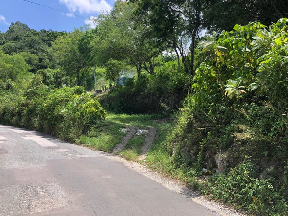 Eleventh image of Tavern Hill, Stewart Town in Stewart Town, Trelawny, Jamaica - property is For Sale