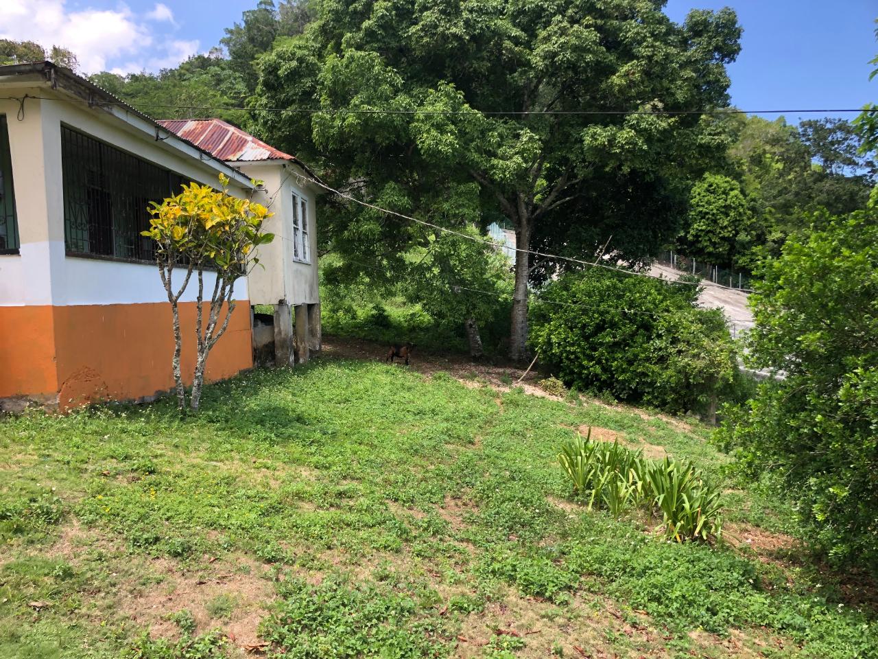 Prime-45.232-Acres-for-Sale-in-Stewart-Town-Trelawny-Endless-Possibilities Thirteenth image of Tavern Hill, Stewart Town in Stewart Town, Trelawny, Jamaica - property is For Sale