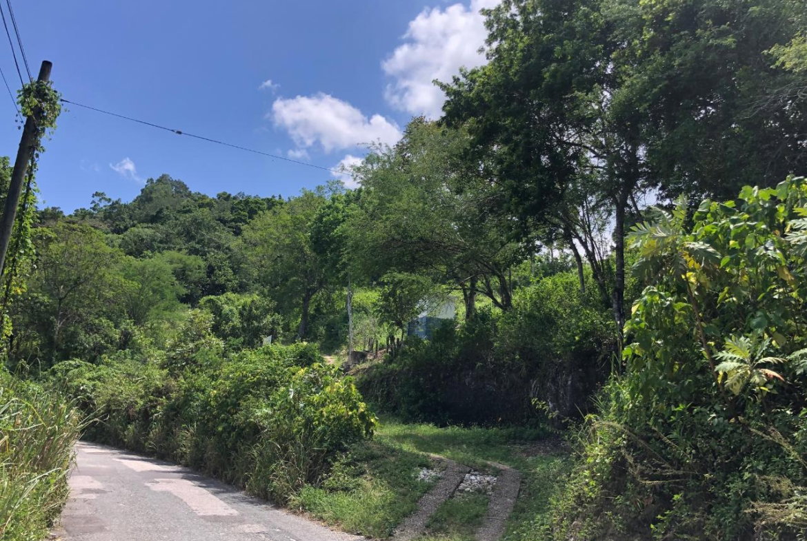Seventeenth image of Tavern Hill, Stewart Town in Stewart Town, Trelawny, Jamaica - property is For Sale