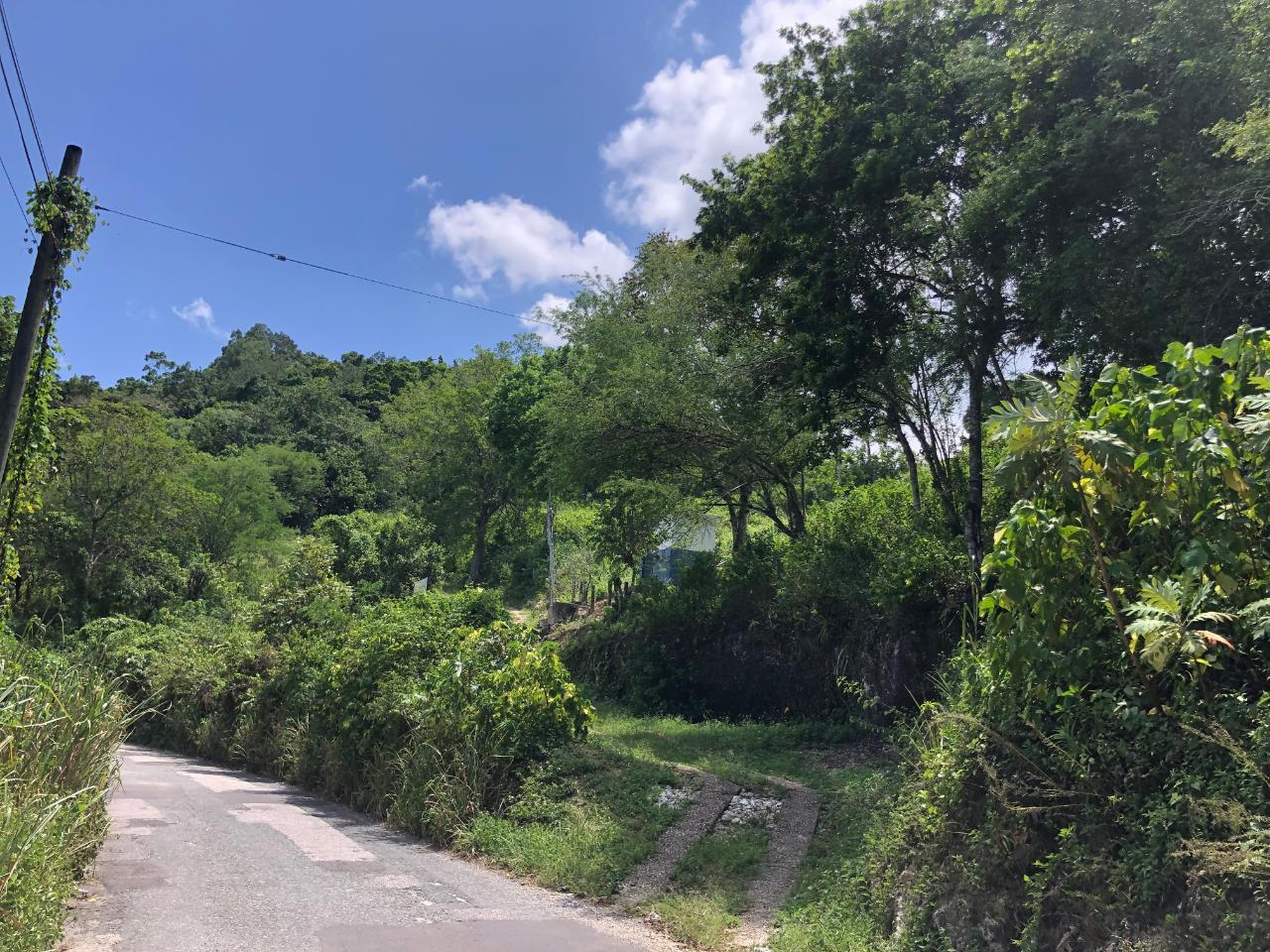Prime-45.232-Acres-for-Sale-in-Stewart-Town-Trelawny-Endless-Possibilities Seventeenth image of Tavern Hill, Stewart Town in Stewart Town, Trelawny, Jamaica - property is For Sale