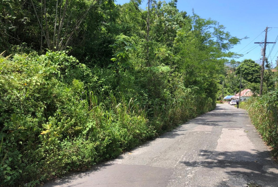 Eighteenth image of Tavern Hill, Stewart Town in Stewart Town, Trelawny, Jamaica - property is For Sale
