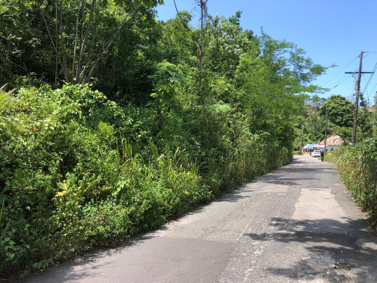 Prime-45.232-Acres-for-Sale-in-Stewart-Town-Trelawny-Endless-Possibilities Eighteenth image of Tavern Hill, Stewart Town in Stewart Town, Trelawny, Jamaica - property is For Sale
