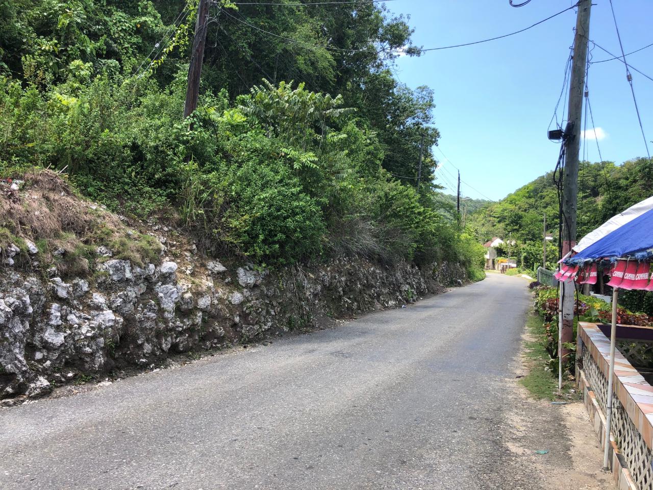 Prime-45.232-Acres-for-Sale-in-Stewart-Town-Trelawny-Endless-Possibilities Nineteenth image of Tavern Hill, Stewart Town in Stewart Town, Trelawny, Jamaica - property is For Sale