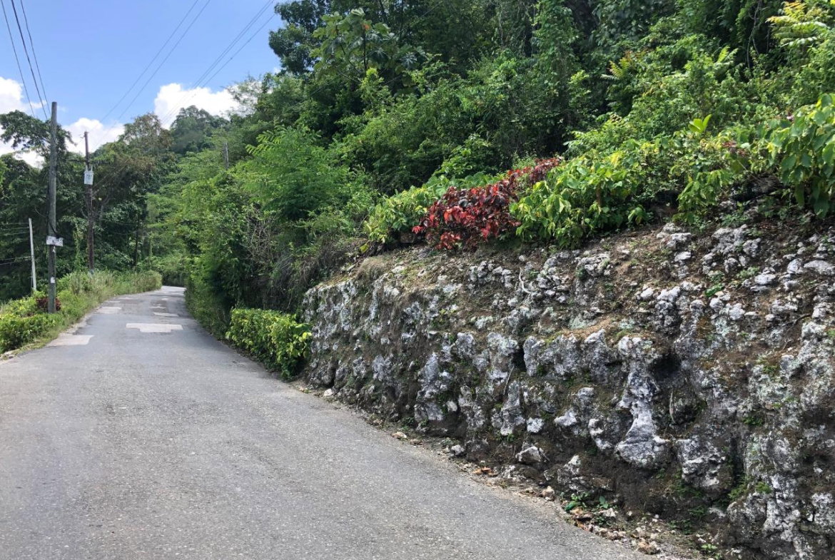 Twentieth image of Tavern Hill, Stewart Town in Stewart Town, Trelawny, Jamaica - property is For Sale