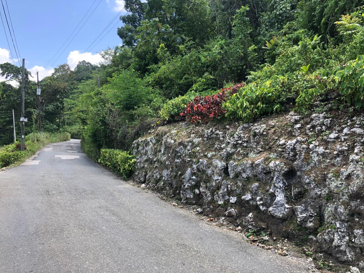 Prime-45.232-Acres-for-Sale-in-Stewart-Town-Trelawny-Endless-Possibilities Twentieth image of Tavern Hill, Stewart Town in Stewart Town, Trelawny, Jamaica - property is For Sale