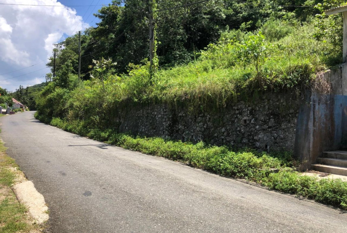Twenty-Second image of Tavern Hill, Stewart Town in Stewart Town, Trelawny, Jamaica - property is For Sale