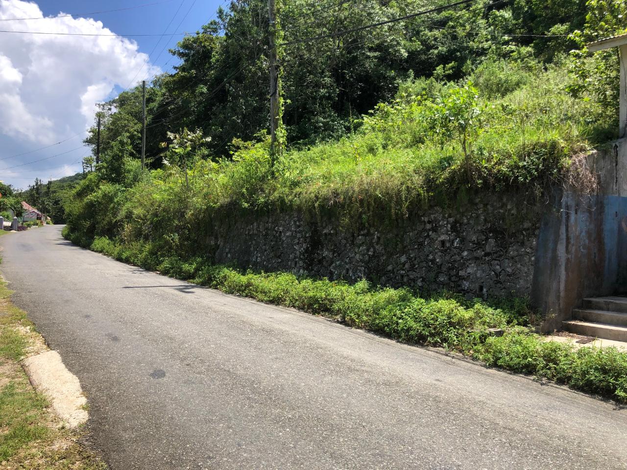 Prime-45.232-Acres-for-Sale-in-Stewart-Town-Trelawny-Endless-Possibilities Twenty-Second image of Tavern Hill, Stewart Town in Stewart Town, Trelawny, Jamaica - property is For Sale