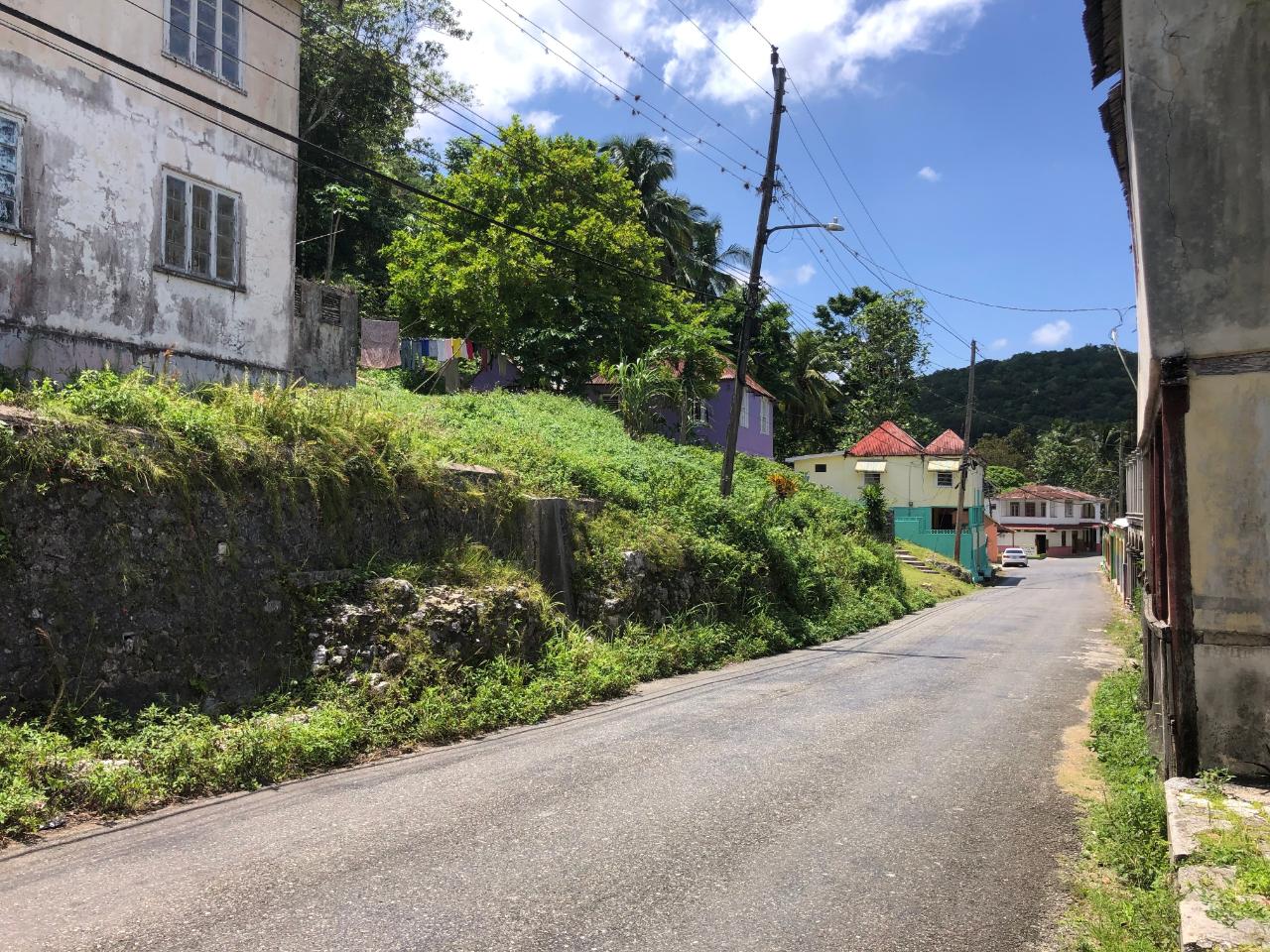 Prime-45.232-Acres-for-Sale-in-Stewart-Town-Trelawny-Endless-Possibilities Twenty-Third image of Tavern Hill, Stewart Town in Stewart Town, Trelawny, Jamaica - property is For Sale