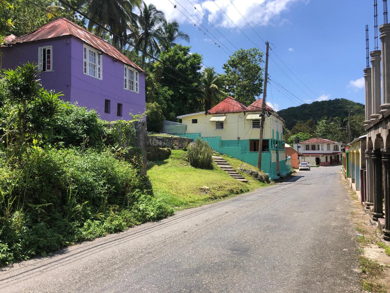 Prime-45.232-Acres-for-Sale-in-Stewart-Town-Trelawny-Endless-Possibilities Twenty-Fourth image of Tavern Hill, Stewart Town in Stewart Town, Trelawny, Jamaica - property is For Sale