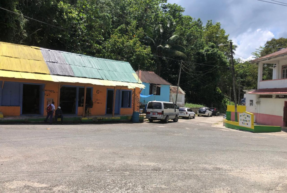 Twenty-Fifth image of Tavern Hill, Stewart Town in Stewart Town, Trelawny, Jamaica - property is For Sale