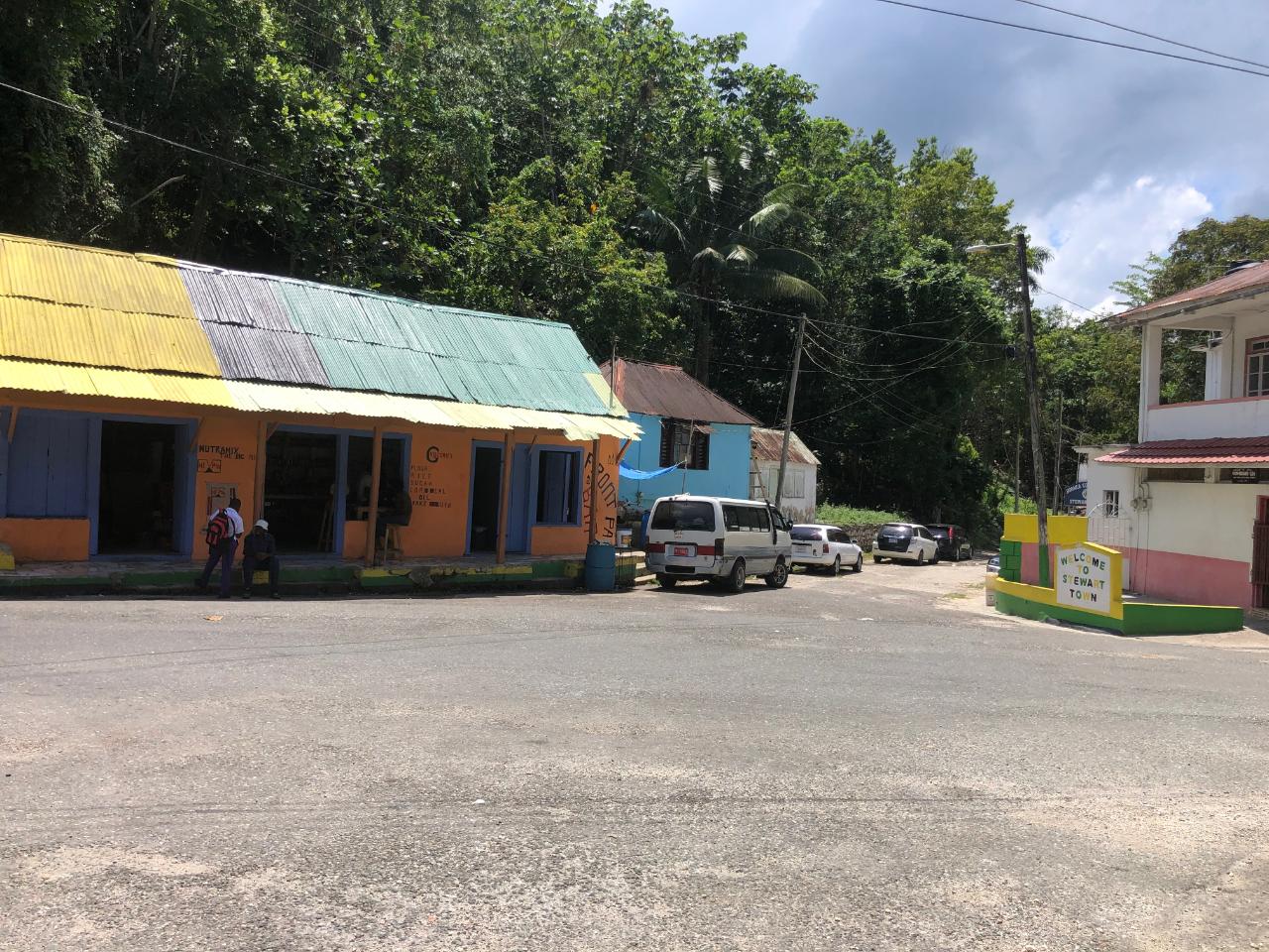 Prime-45.232-Acres-for-Sale-in-Stewart-Town-Trelawny-Endless-Possibilities Twenty-Fifth image of Tavern Hill, Stewart Town in Stewart Town, Trelawny, Jamaica - property is For Sale