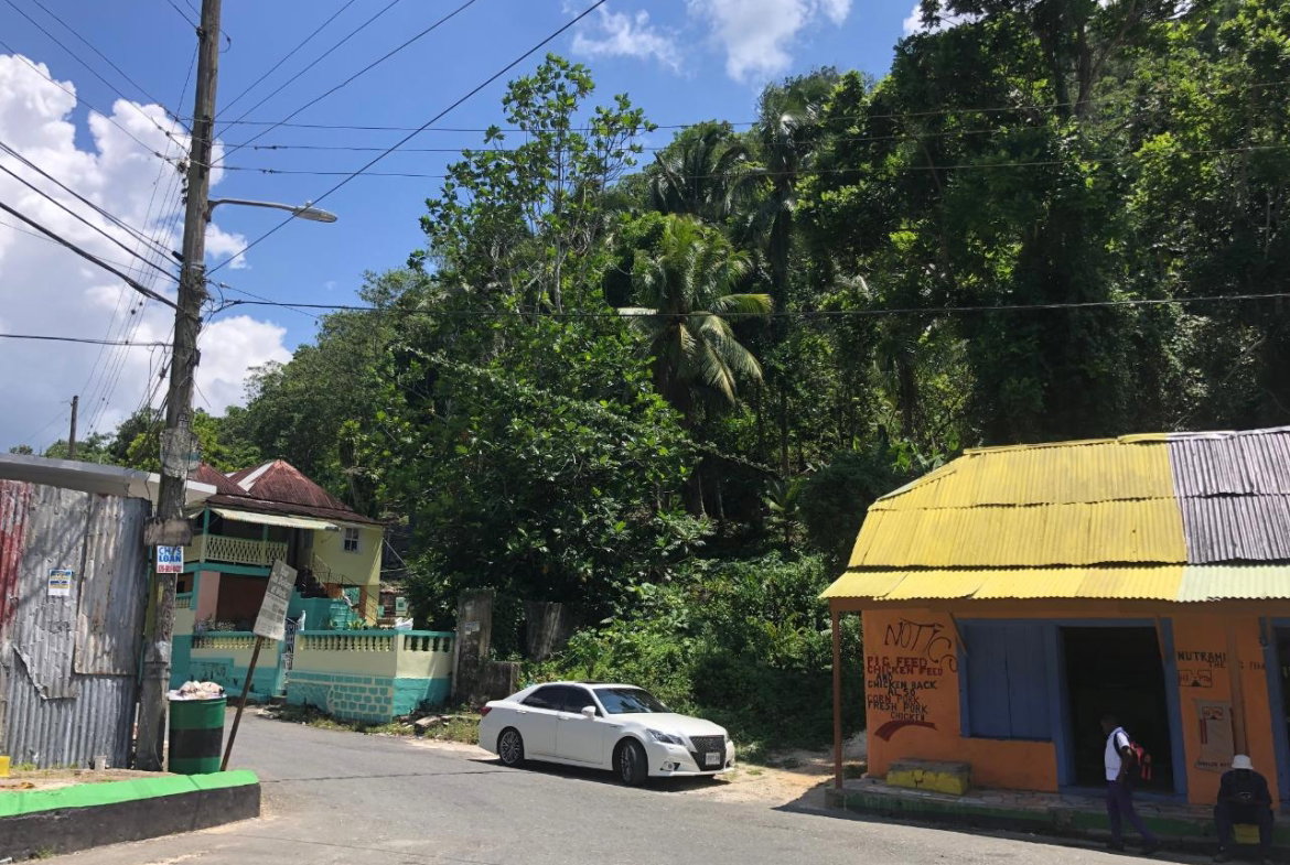 Twenty-Sixth image of Tavern Hill, Stewart Town in Stewart Town, Trelawny, Jamaica - property is For Sale