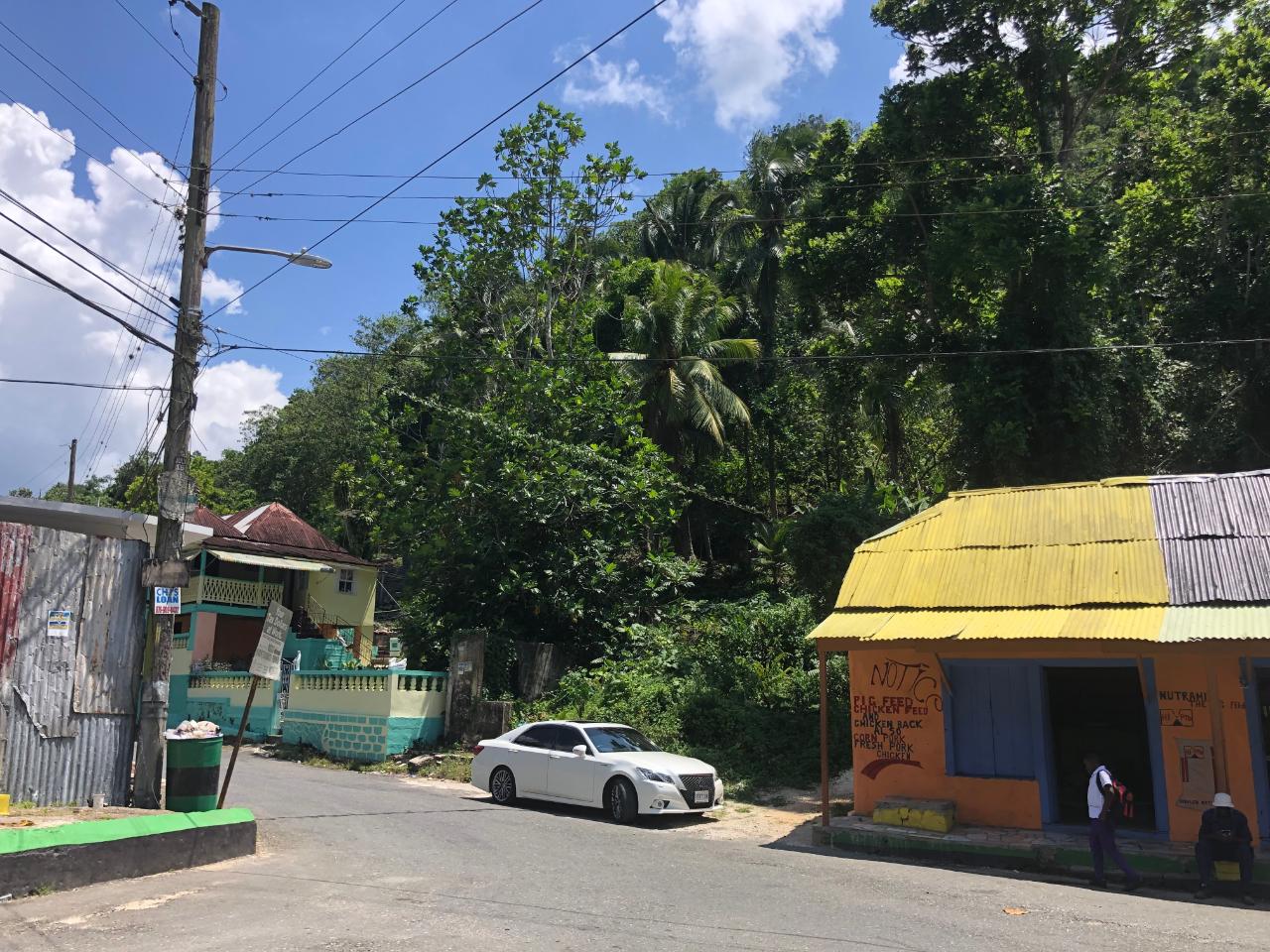 Prime-45.232-Acres-for-Sale-in-Stewart-Town-Trelawny-Endless-Possibilities Twenty-Sixth image of Tavern Hill, Stewart Town in Stewart Town, Trelawny, Jamaica - property is For Sale