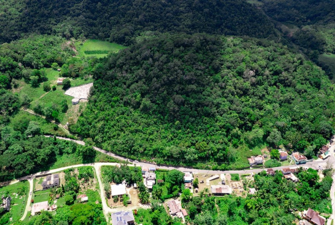 Fifth image of Tavern Hill, Stewart Town in Stewart Town, Trelawny, Jamaica - property is For Sale