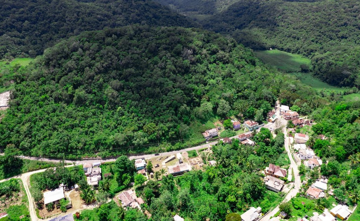 Sixth image of Tavern Hill, Stewart Town in Stewart Town, Trelawny, Jamaica - property is For Sale