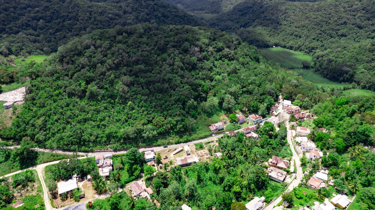 Prime-45.232-Acres-for-Sale-in-Stewart-Town-Trelawny-Endless-Possibilities Sixth image of Tavern Hill, Stewart Town in Stewart Town, Trelawny, Jamaica - property is For Sale