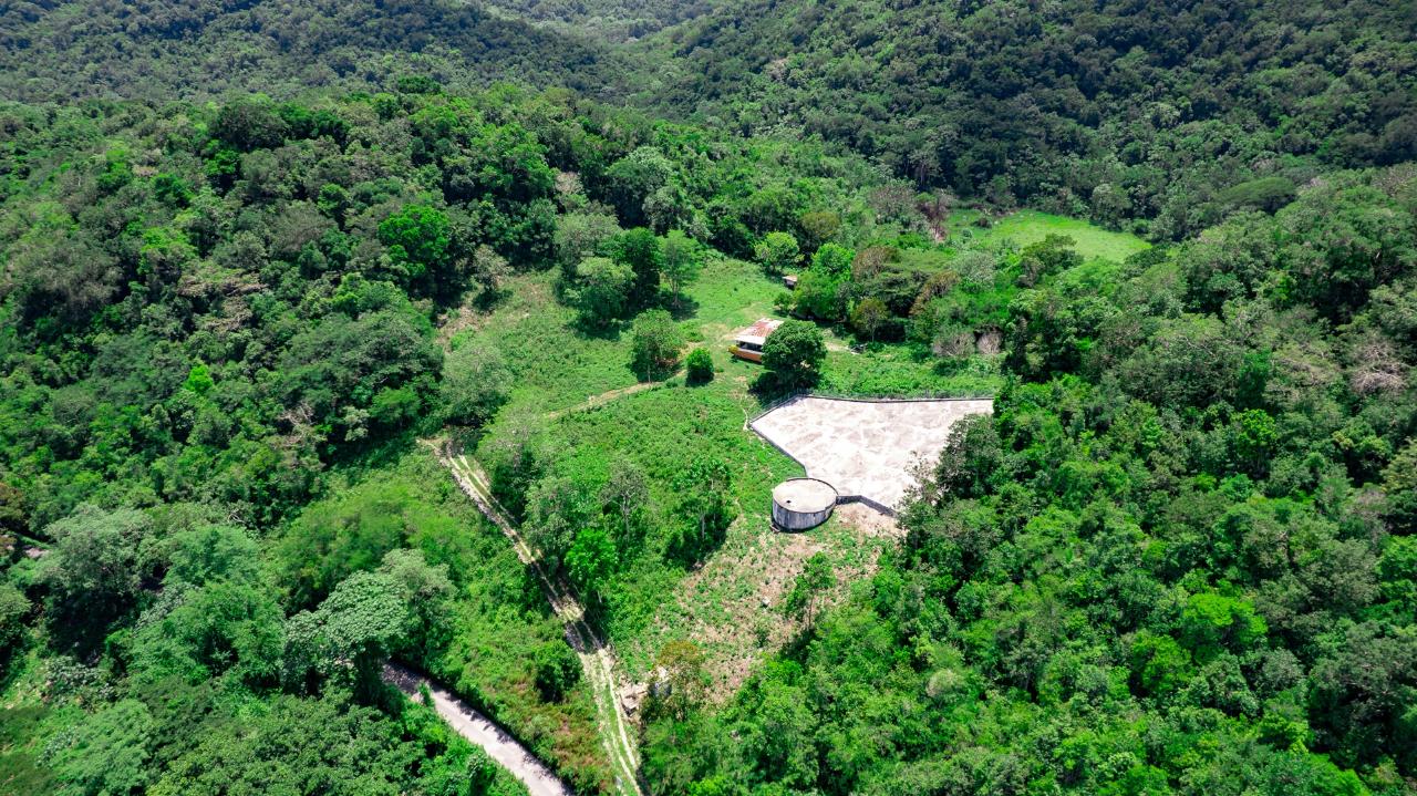 Prime-45.232-Acres-for-Sale-in-Stewart-Town-Trelawny-Endless-Possibilities Eighth image of Tavern Hill, Stewart Town in Stewart Town, Trelawny, Jamaica - property is For Sale