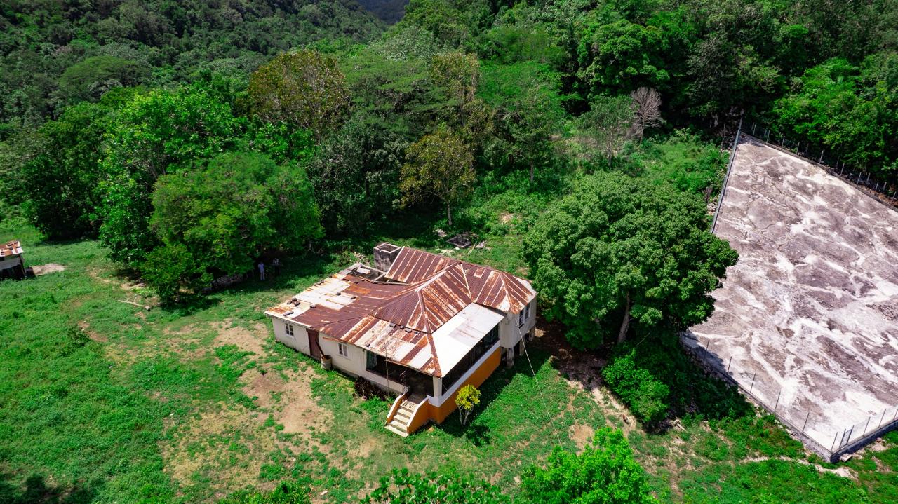 Prime-45.232-Acres-for-Sale-in-Stewart-Town-Trelawny-Endless-Possibilities Ninth image of Tavern Hill, Stewart Town in Stewart Town, Trelawny, Jamaica - property is For Sale