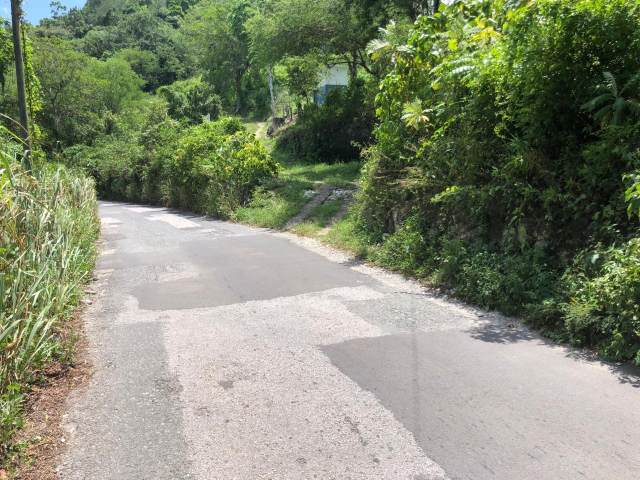 Prime-45.232-Acres-for-Sale-in-Stewart-Town-Trelawny-Endless-Possibilities Tenth image of Tavern Hill, Stewart Town in Stewart Town, Trelawny, Jamaica - property is For Sale