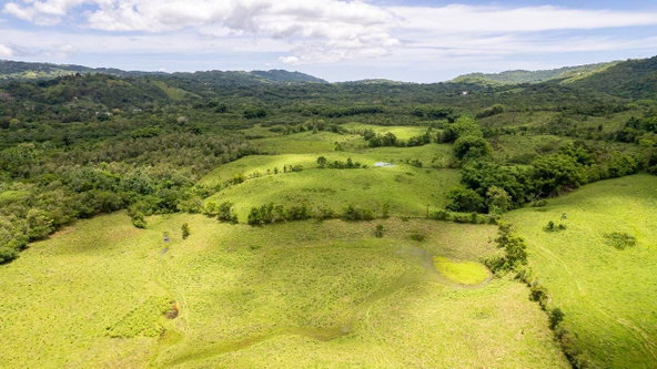 Sixth image of Enfield, Westmoreland in Enfield, Westmoreland, Jamaica - property is For Sale