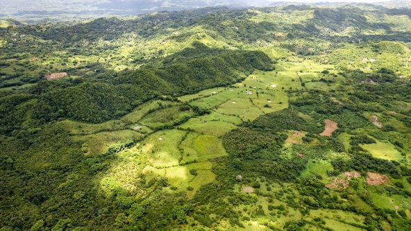 Seventh image of Enfield, Westmoreland in Enfield, Westmoreland, Jamaica - property is For Sale