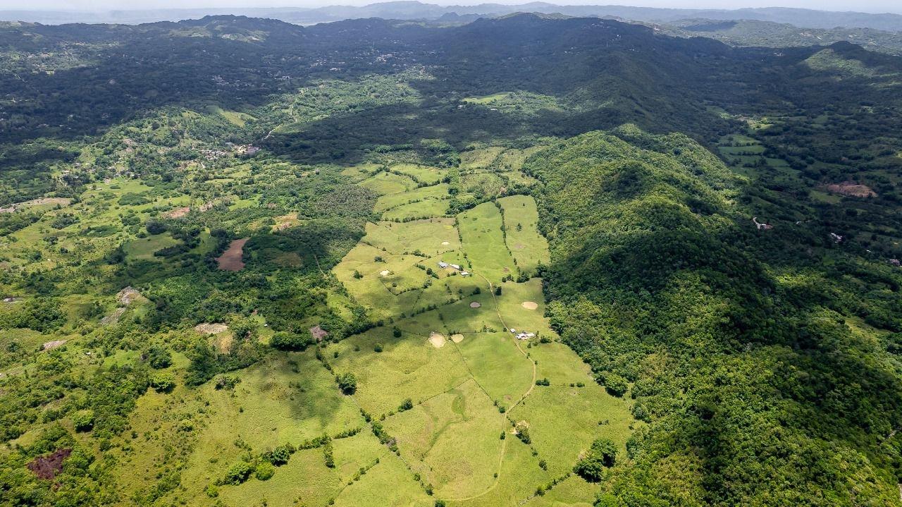 Ninth image of Enfield, Westmoreland in Enfield, Westmoreland, Jamaica - property is For Sale