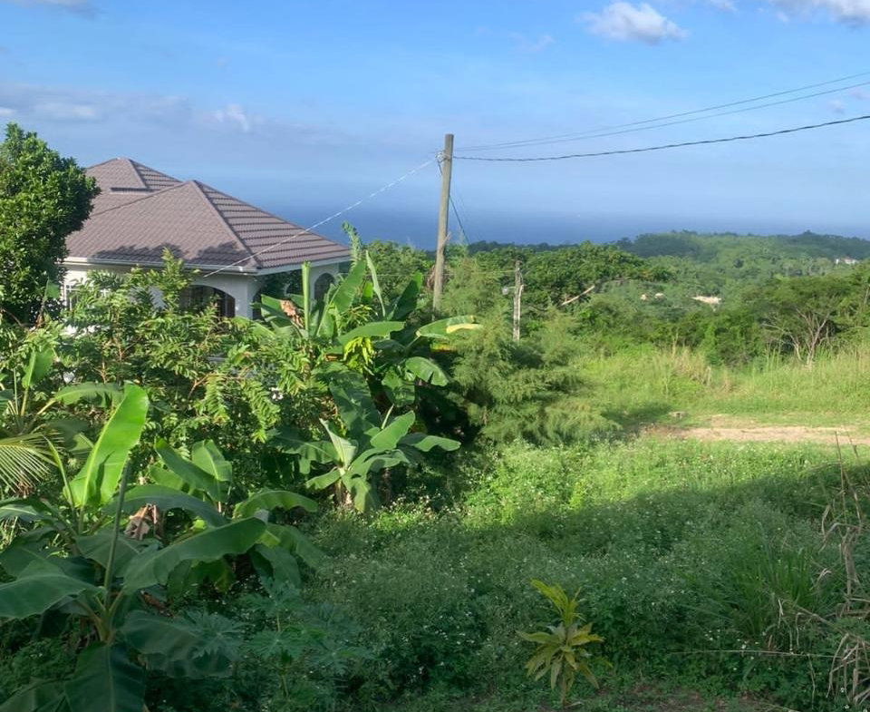 Sixteenth image of Lot 20- Belle Air in Runaway Bay, St. Ann, Jamaica - property is For Sale