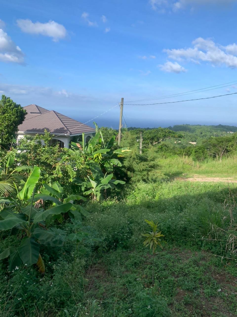 Prime-5-Acre-Residential-Property-for-Sale-in-St.-Ann-Jamaica Sixteenth image of Lot 20- Belle Air in Runaway Bay, St. Ann, Jamaica - property is For Sale