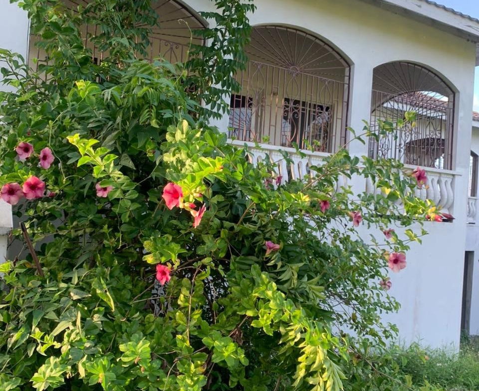 Twentieth image of Lot 20- Belle Air in Runaway Bay, St. Ann, Jamaica - property is For Sale