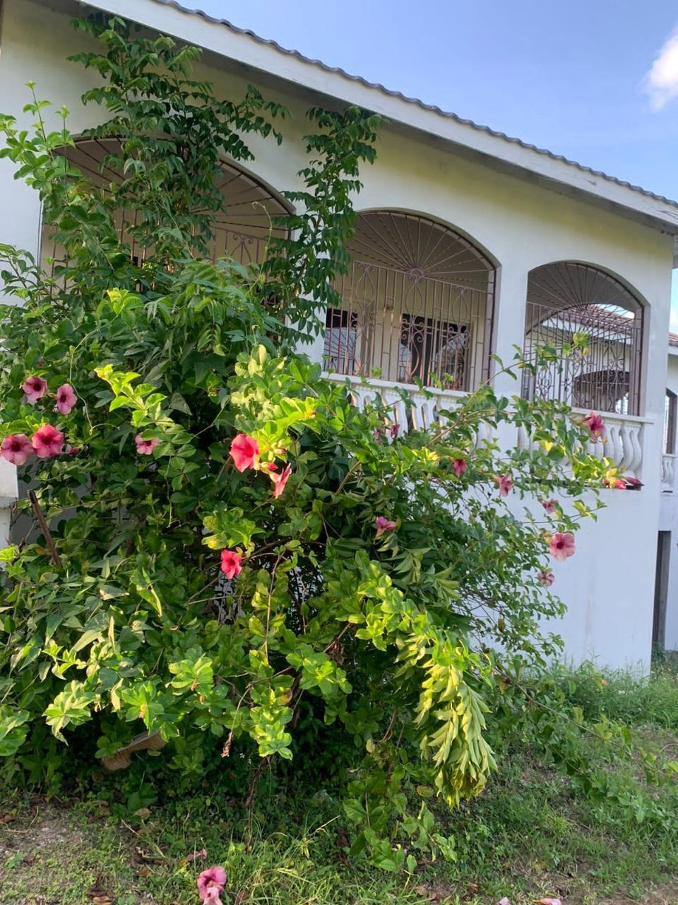 Prime-5-Acre-Residential-Property-for-Sale-in-St.-Ann-Jamaica Twentieth image of Lot 20- Belle Air in Runaway Bay, St. Ann, Jamaica - property is For Sale