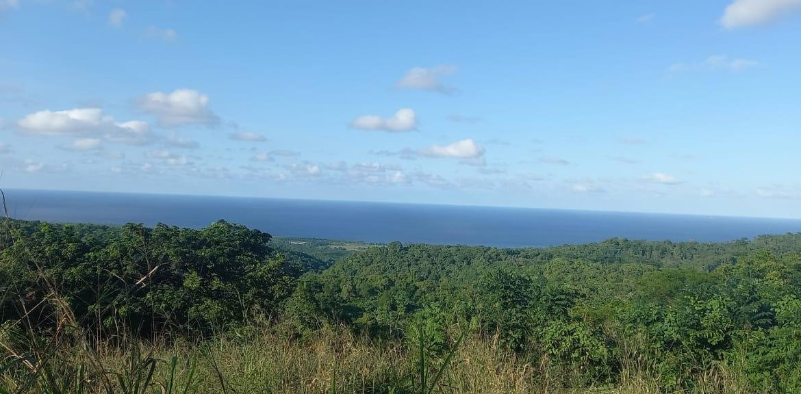 Fifth image of Lot 20- Belle Air in Runaway Bay, St. Ann, Jamaica - property is For Sale