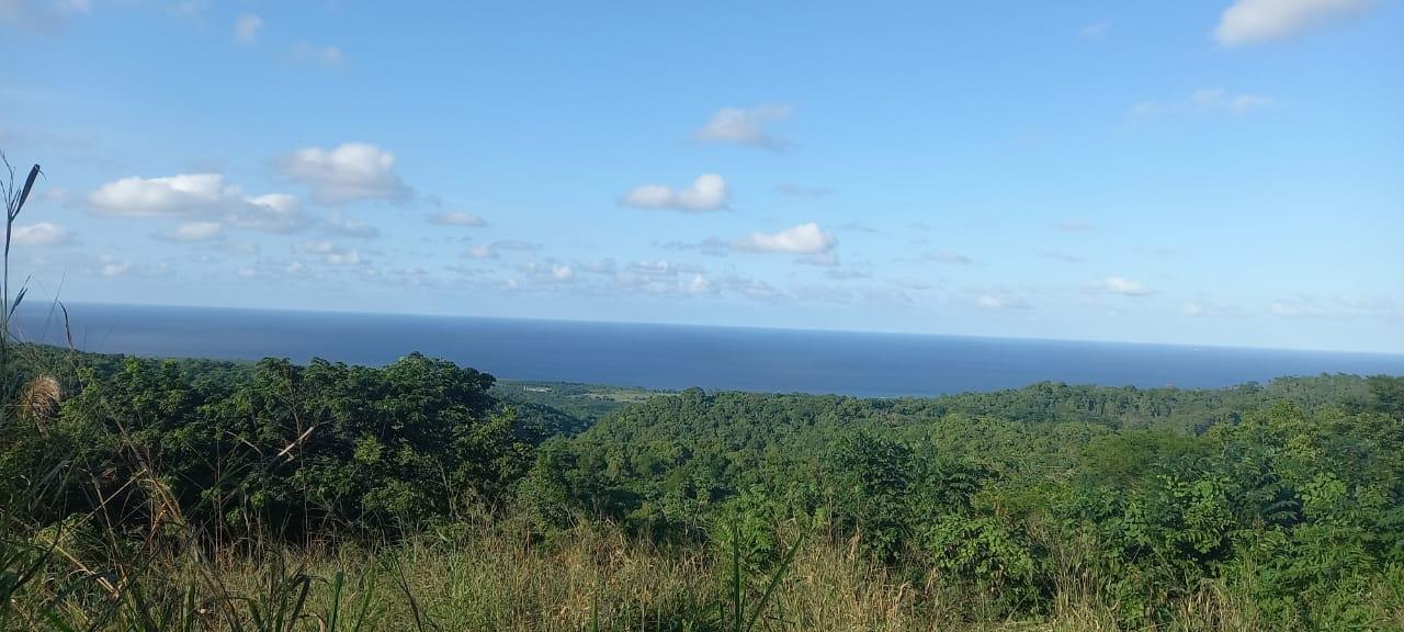 Prime-5-Acre-Residential-Property-for-Sale-in-St.-Ann-Jamaica Fifth image of Lot 20- Belle Air in Runaway Bay, St. Ann, Jamaica - property is For Sale
