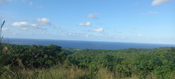 Fifth image of Lot 20- Belle Air in Runaway Bay, St. Ann, Jamaica - property is For Sale