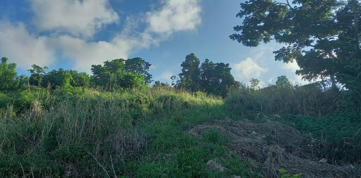 Eighth image of Lot 20- Belle Air in Runaway Bay, St. Ann, Jamaica - property is For Sale