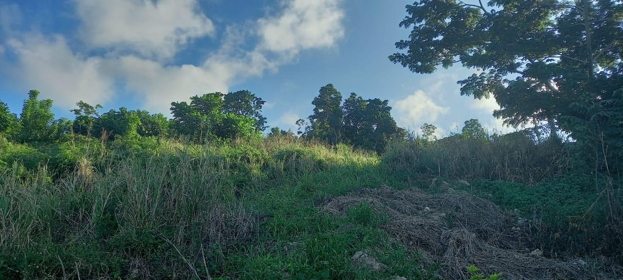 Prime-5-Acre-Residential-Property-for-Sale-in-St.-Ann-Jamaica Eighth image of Lot 20- Belle Air in Runaway Bay, St. Ann, Jamaica - property is For Sale