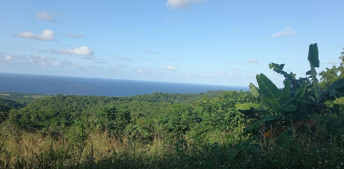 Ninth image of Lot 20- Belle Air in Runaway Bay, St. Ann, Jamaica - property is For Sale