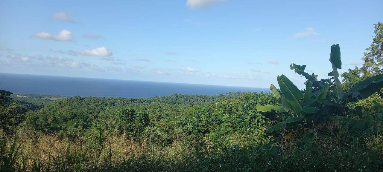 Prime-5-Acre-Residential-Property-for-Sale-in-St.-Ann-Jamaica Ninth image of Lot 20- Belle Air in Runaway Bay, St. Ann, Jamaica - property is For Sale