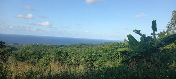 Ninth image of Lot 20- Belle Air in Runaway Bay, St. Ann, Jamaica - property is For Sale