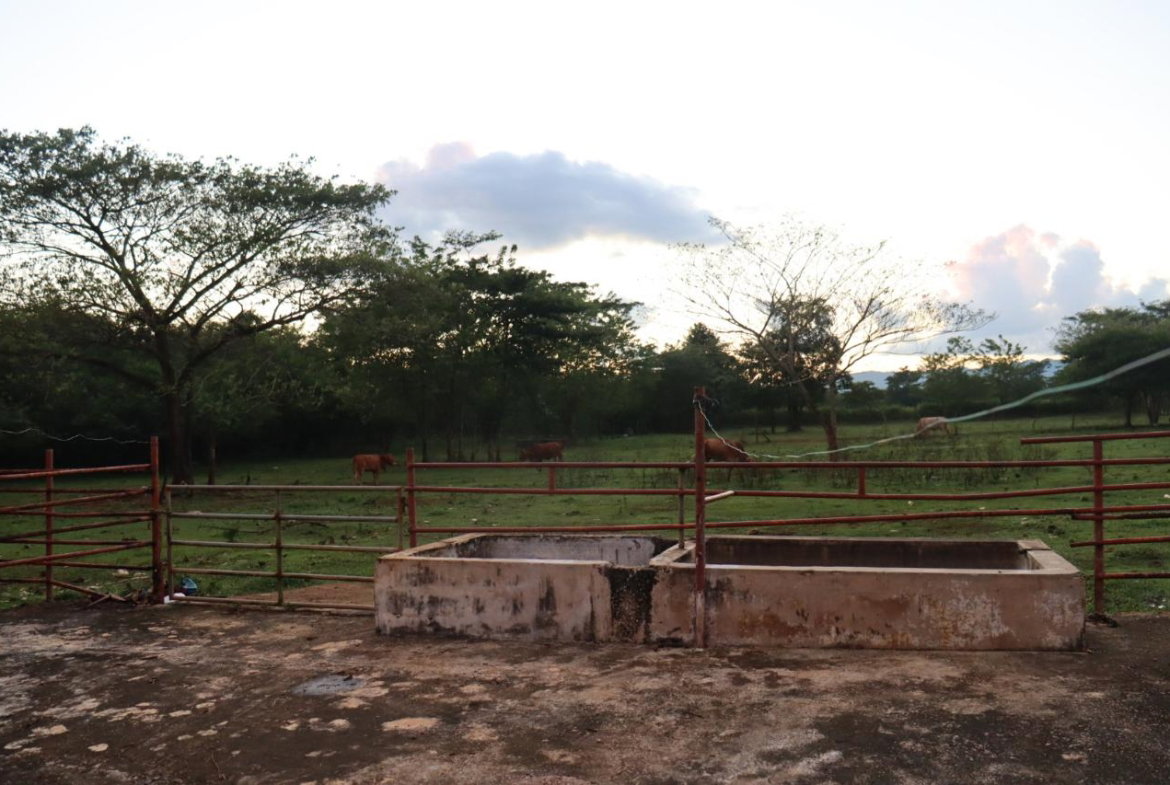Second image of Elim in Braes River, St. Elizabeth, Jamaica - property is For Sale