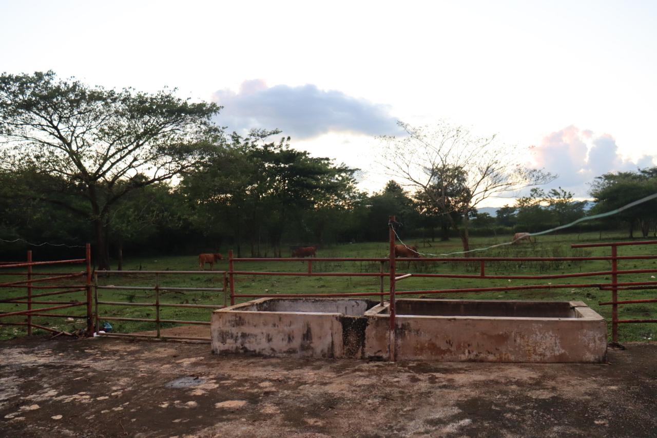 Second image of Elim in Braes River, St. Elizabeth, Jamaica - property is For Sale