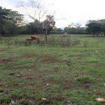 First image of Elim in Braes River, St. Elizabeth, Jamaica - property is For Sale