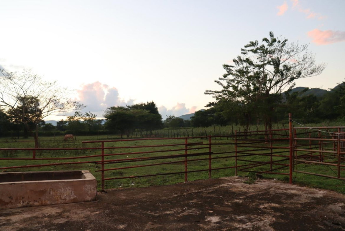 Third image of Elim in Braes River, St. Elizabeth, Jamaica - property is For Sale