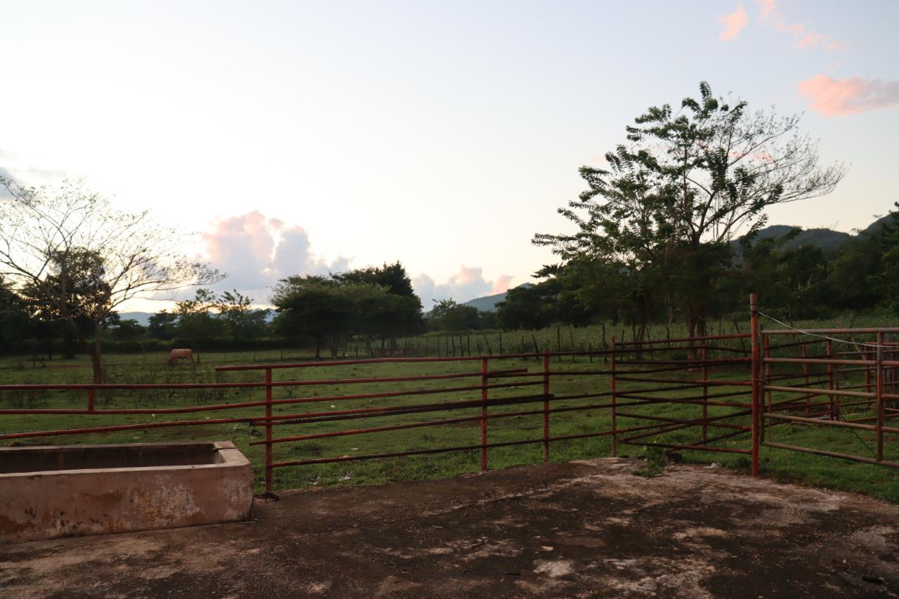 Third image of Elim in Braes River, St. Elizabeth, Jamaica - property is For Sale