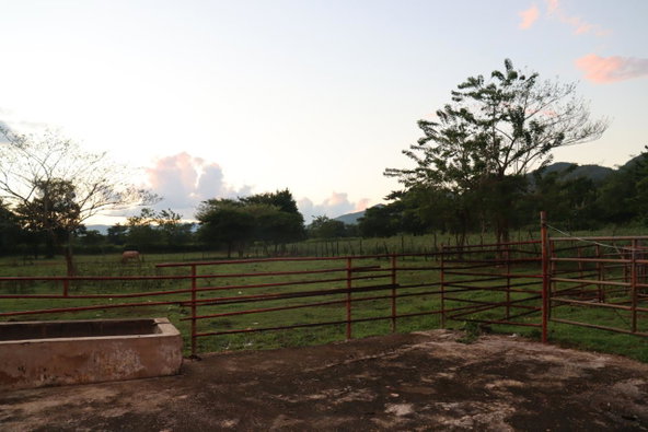 Third image of Elim in Braes River, St. Elizabeth, Jamaica - property is For Sale