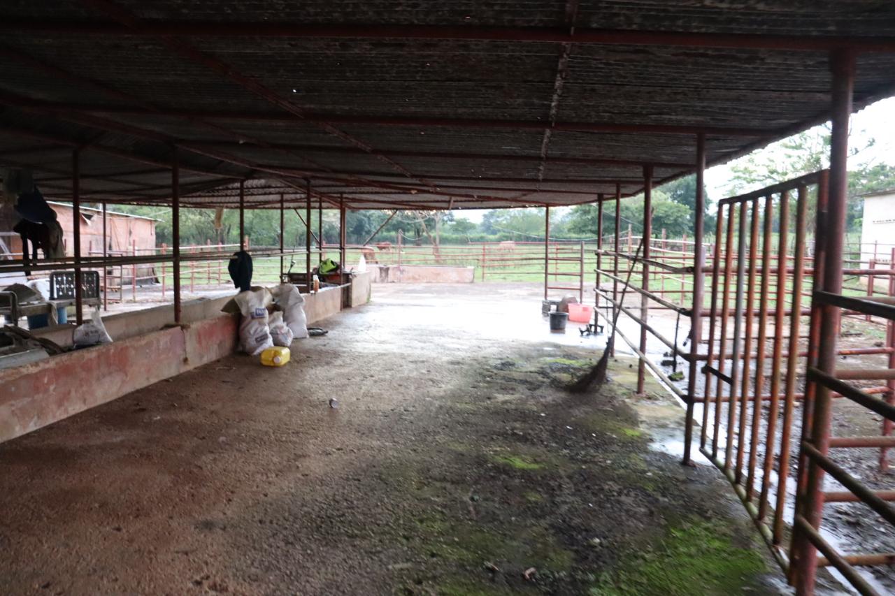 Fourth image of Elim in Braes River, St. Elizabeth, Jamaica - property is For Sale