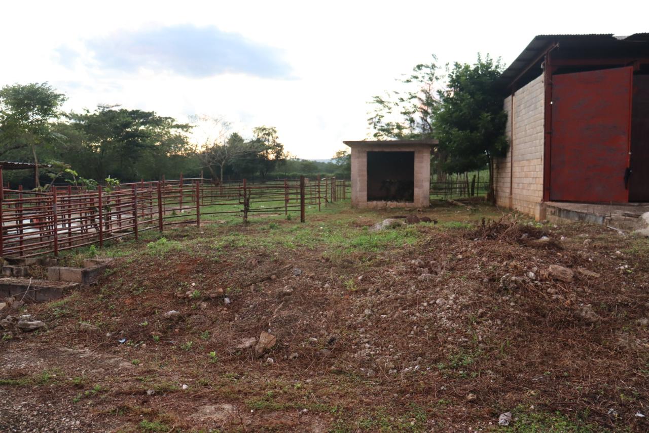 Fifth image of Elim in Braes River, St. Elizabeth, Jamaica - property is For Sale