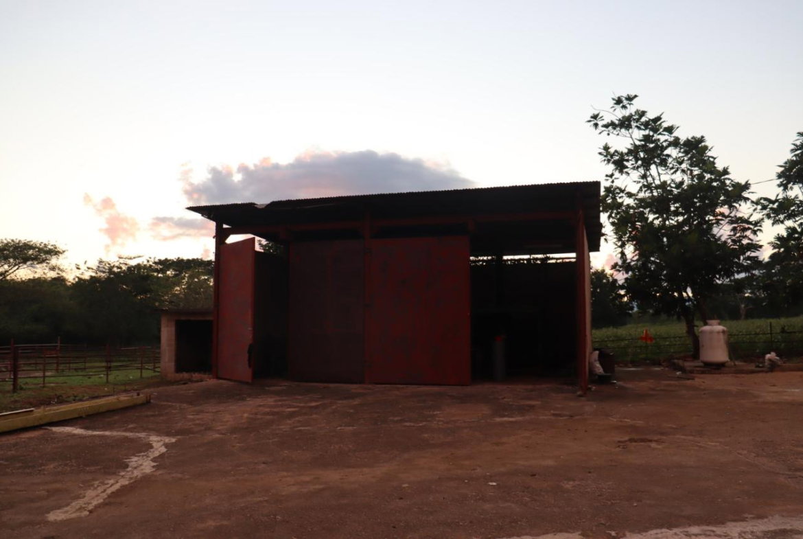 Seventh image of Elim in Braes River, St. Elizabeth, Jamaica - property is For Sale